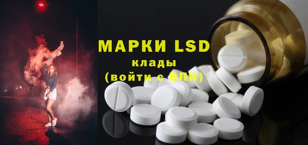 хмурый Алексин