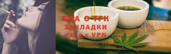 хмурый Алексин