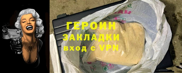 хмурый Алексин
