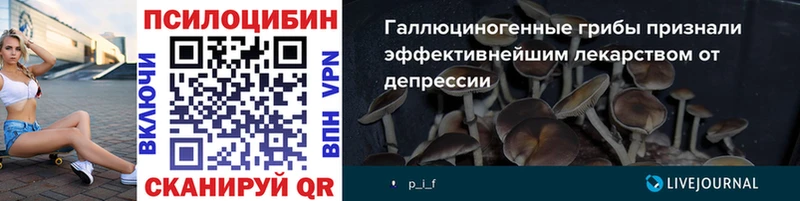 Галлюциногенные грибы Psilocybe  Сургут 